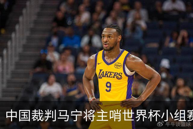 中国裁判马宁将主哨世界杯小组赛第二轮比赛